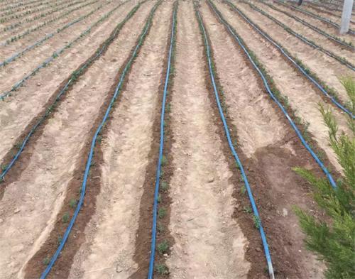 hdpe pipe pricing